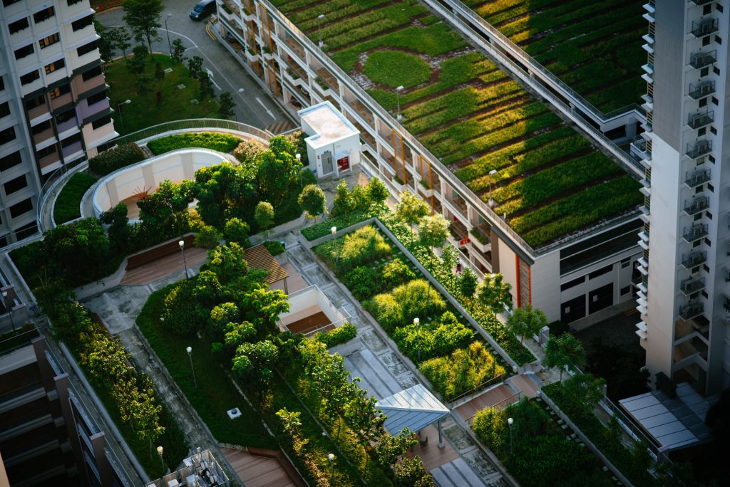 Green roofs, one of the best sustainable practices in commercial real estate